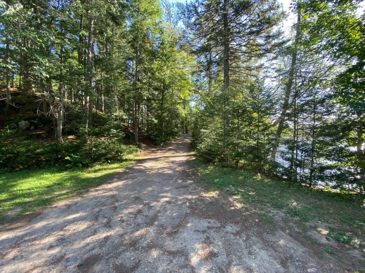 367516228_1712111799236626_59984811597301857_n